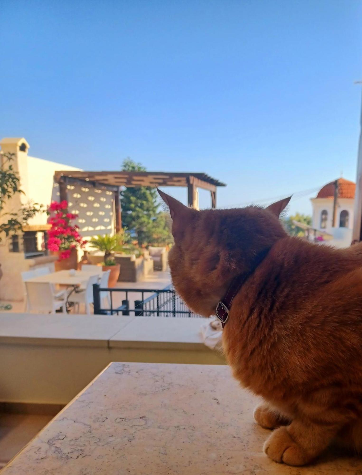 Aposperitis Panormos (Crete)