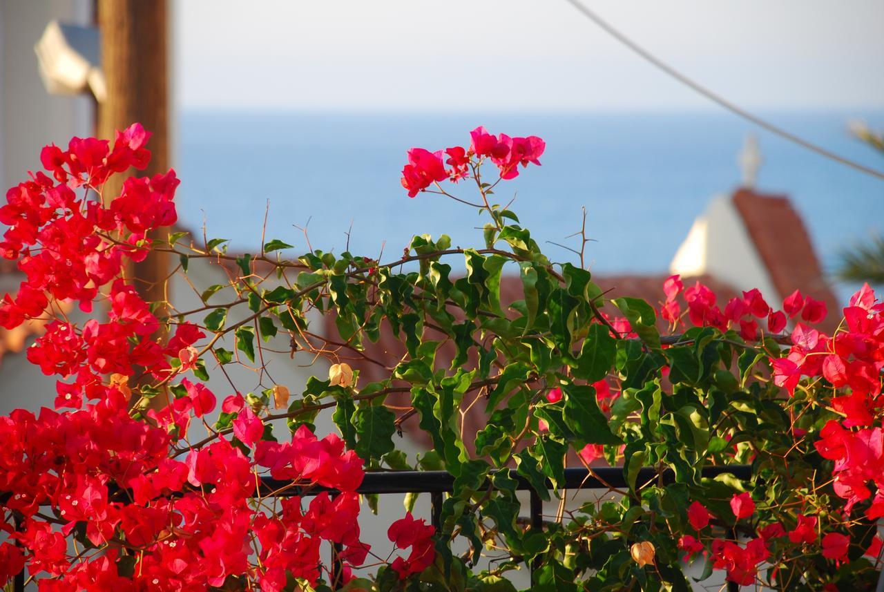 Aposperitis Villa Panormos (Crete)